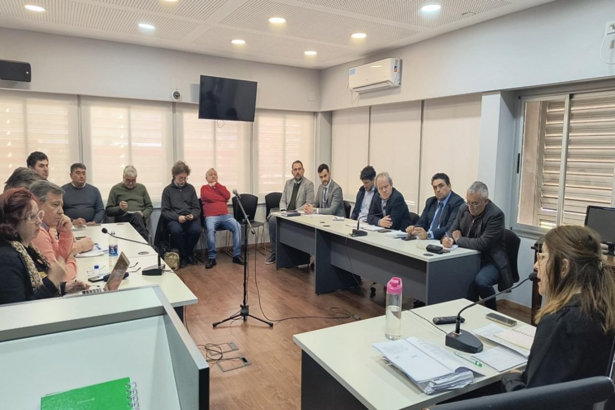 Conciliación Obligatoria Conciliación Obligatoria