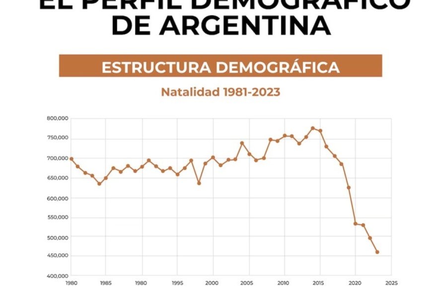 La tasa de natalidad cayó 40% en Argentina y los hogares sin hijos ya ...