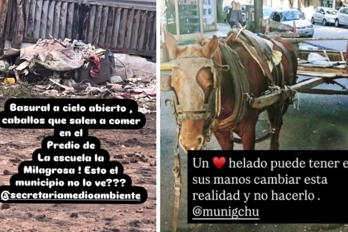 Publicaciones de @patitasengualeguaychu Publicaciones de @patitasengualeguaychu