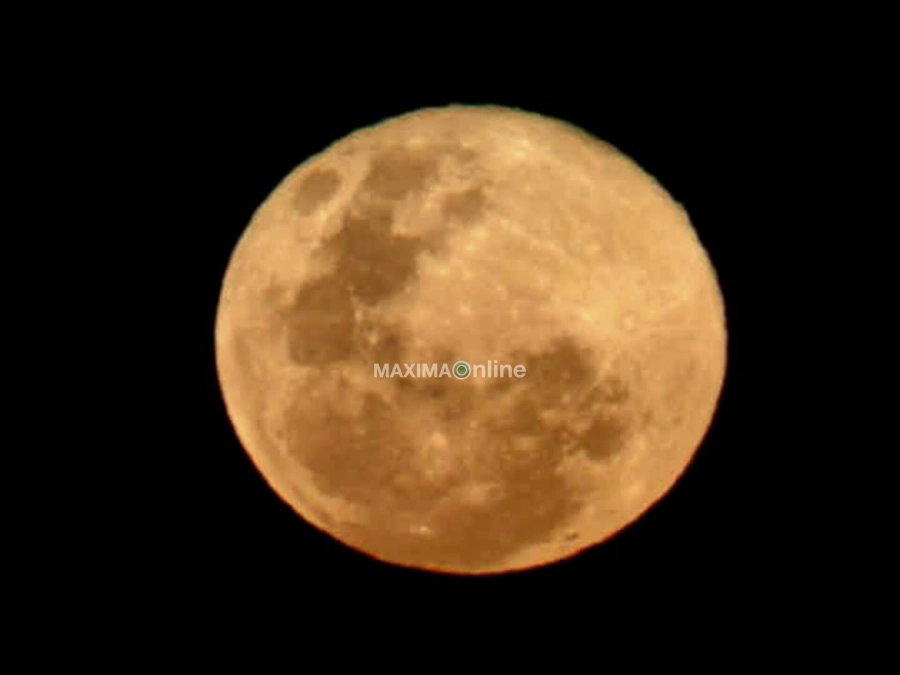 Gentileza: <a href="https://www.instagram.com/rodolfonaturalista/" target="_blank" rel="noopener">@rodolfonaturalista</a>