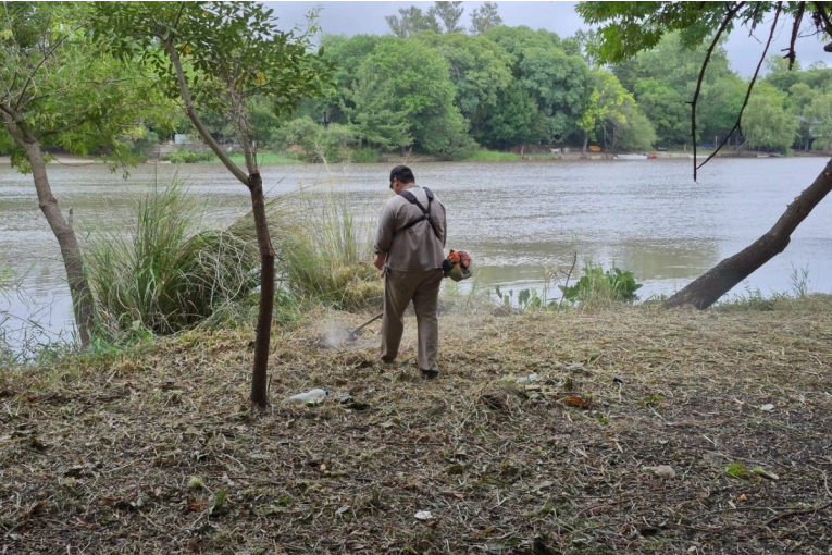 Continúa la limpieza integral del Camino de la Costa con los árboles linderos al río Gualeguaychú
