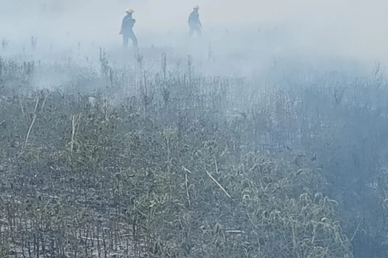 Campos, terrenos y hasta un transformador: arduo trabajo de bomberos este jueves