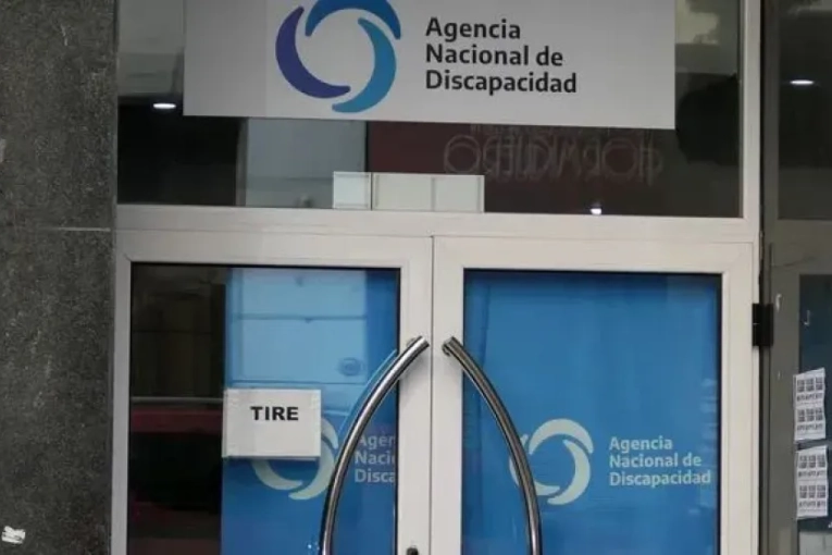 Andis: El Gobierno detectó sobreprecios de hasta 4239% en compras de andadores, sillas de ruedas y prótesis