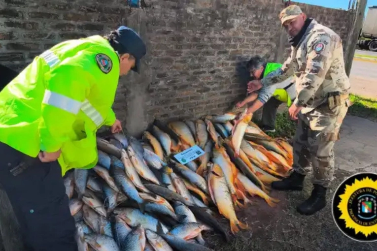 Decomisan un cargamento ilegal con casi 200 piezas de pescado en el sur entrerriano