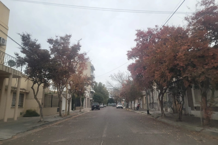 Otoño frío en Gualeguaychú: sensación térmica de 1 grado para empezar la semana