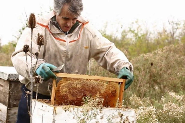 Malestar en el Uruguay con apicultores argentinos por la exportación de miel sin aranceles