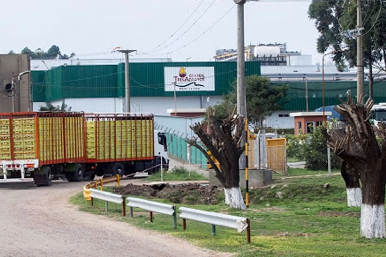 Se desplomó la histórica granja Tres Arroyos en Concepción del Uruguay: 950 personas sin trabajo