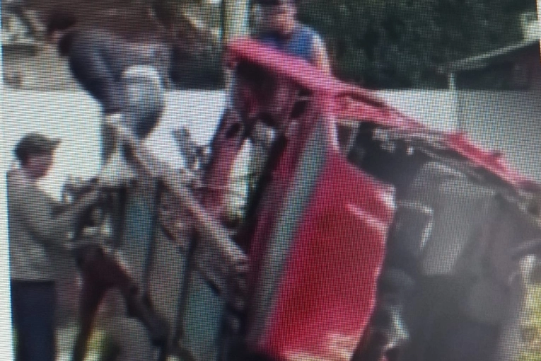 "Un caballo, un carro y casi un automóvil encima: la urgente necesidad de erradicar la tracción a sangre"