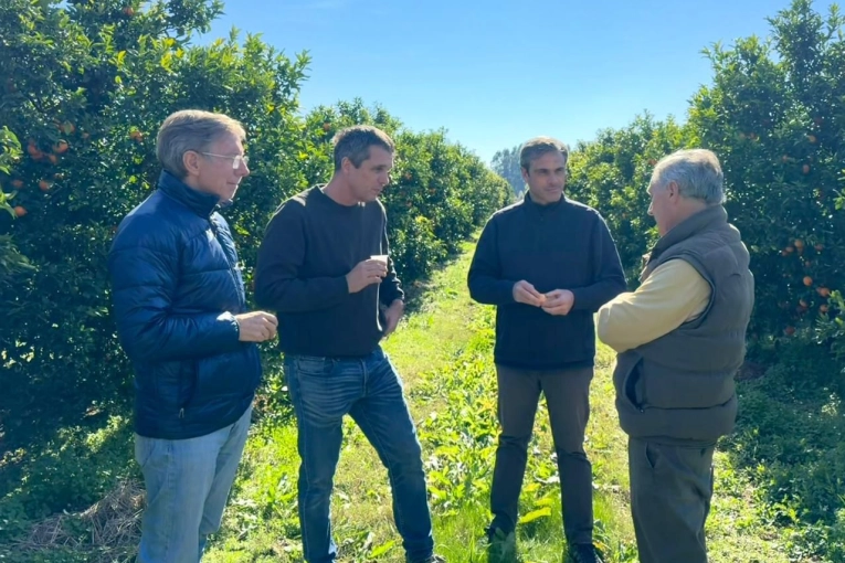 La crisis del sector citrícola fue analizada por productores con Michel, Cresto y Bahillo