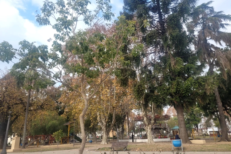 Seguirán las bajas temperaturas, con mañanas muy frías