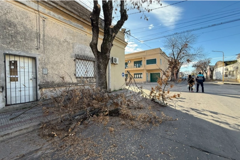 Comenzó la poda invernal en 3 de Caballería y continuará en las calles paralelas