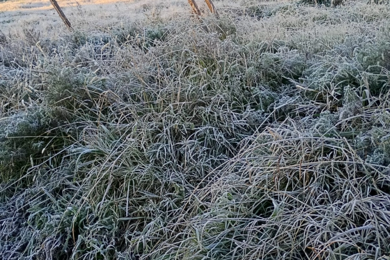 Seguirán las bajas temperaturas y fuertes heladas