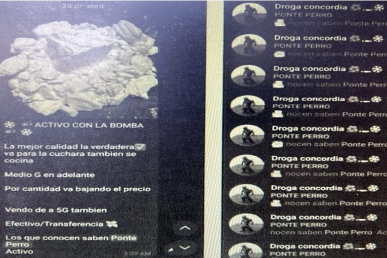 Procesaron a una banda que vendía droga por Telegram, en Concordia