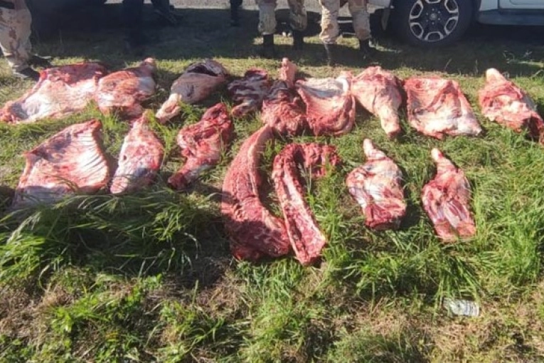 Productores rurales exigen acciones ante robo de ganado en zona sur del departamento Gualeguaychú