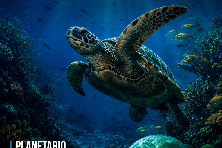 Este lunes, el Planetario Móvil en el Mercado del Munilla