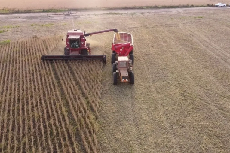 Según un informe, Entre Ríos logró el mejor rendimiento agrícola de los últimos 25 años
