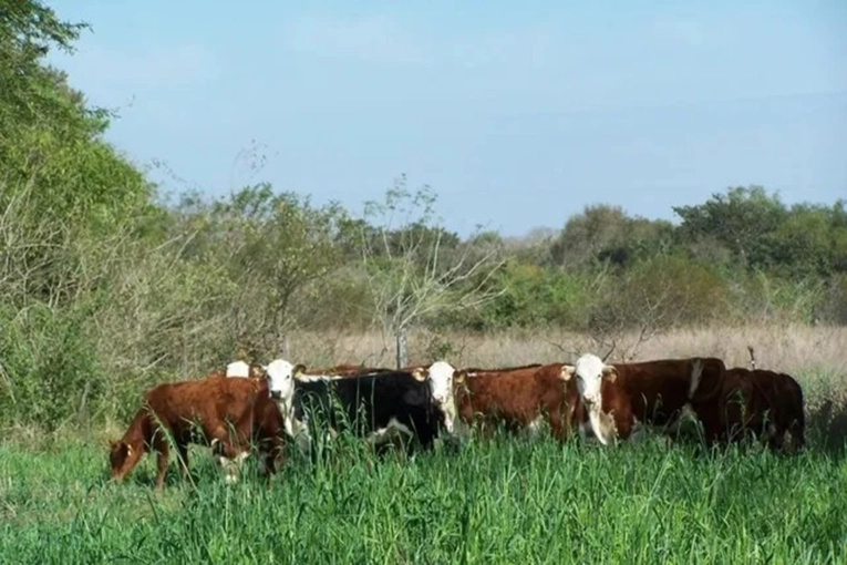 Entre Ríos recuperó 124.000 hectáreas de tierras fiscales