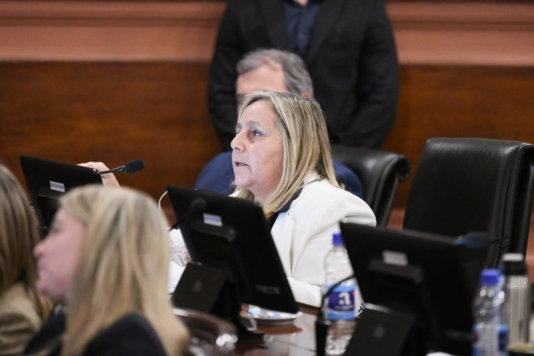 Falleció la diputada provincial Julia Calleros
